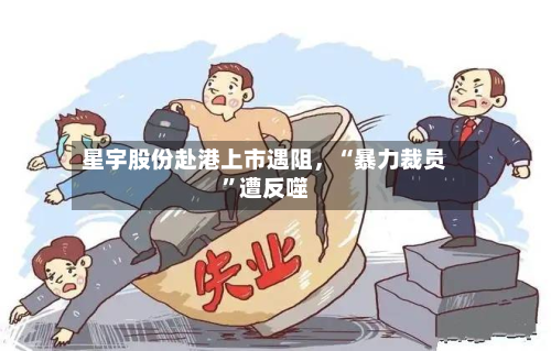 星宇股份赴港上市遇阻，“暴力裁员”遭反噬-第3张图片
