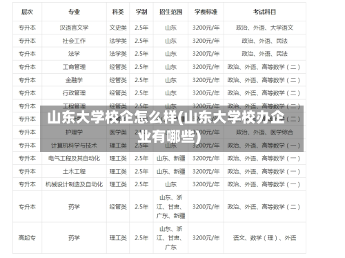 山东大学校企怎么样(山东大学校办企业有哪些)-第2张图片