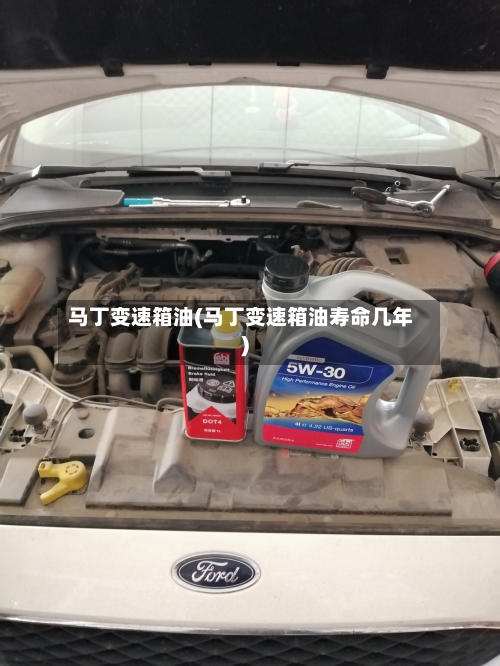 马丁变速箱油(马丁变速箱油寿命几年)-第2张图片
