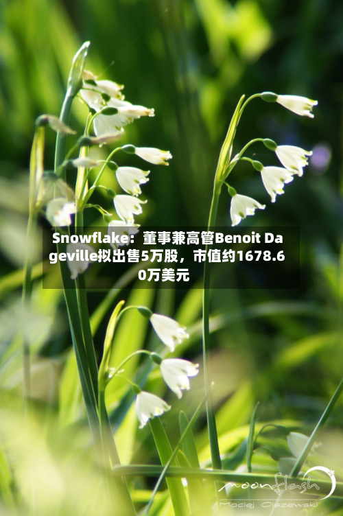 Snowflake:董事兼高管Benoit Dageville拟出售5万股,市值约1678.60万美元