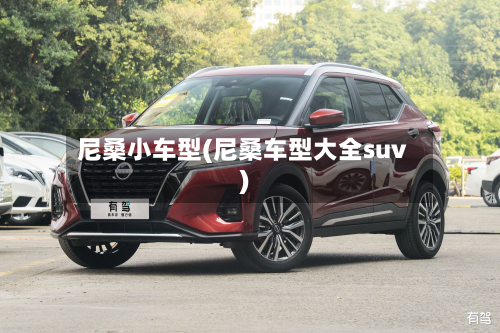尼桑小车型(尼桑车型大全suv)-第2张图片
