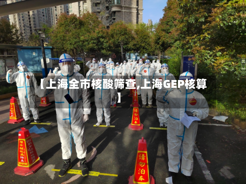 【上海全市核酸筛查,上海GEP核算】