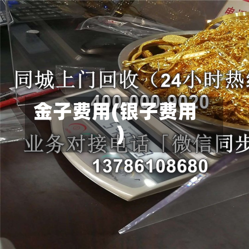 金子费用(银子费用)