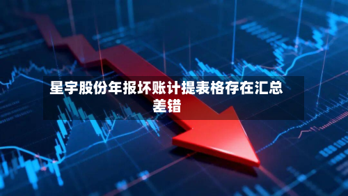 星宇股份年报坏账计提表格存在汇总差错