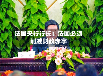 法国央行行长：法国必须削减财政赤字