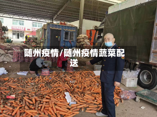 随州疫情/随州疫情蔬菜配送-第2张图片