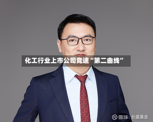 化工行业上市公司竞速“第二曲线”-第2张图片