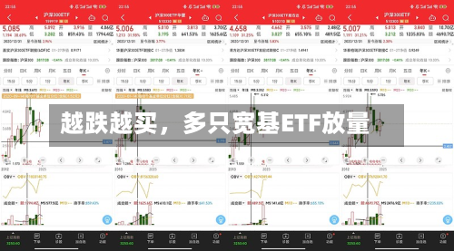 越跌越买，多只宽基ETF放量
