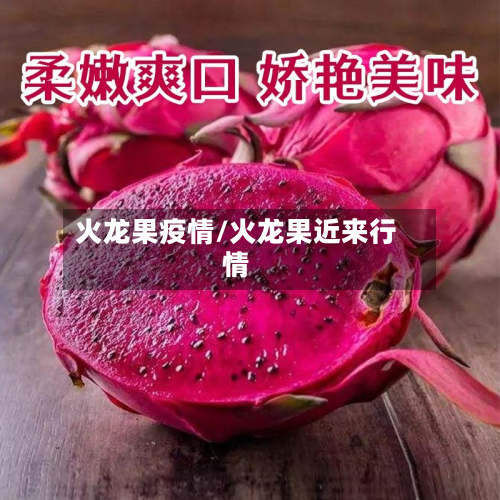 火龙果疫情/火龙果近来行情-第2张图片