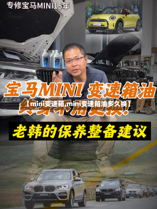 【mini变速箱,mini变速箱油多久换】-第3张图片