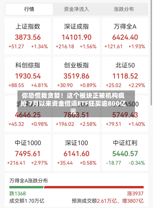 你恐慌我贪婪！这个板块正被机构疯抢 7月以来资金借道ETF狂买逾800亿元
