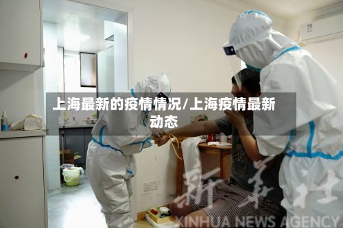 上海最新的疫情情况/上海疫情最新动态