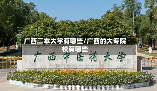 广西二本大学有哪些/广西的大专院校有哪些-第3张图片