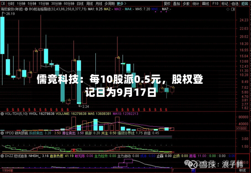 儒竞科技：每10股派0.5元，股权登记日为9月17日-第2张图片