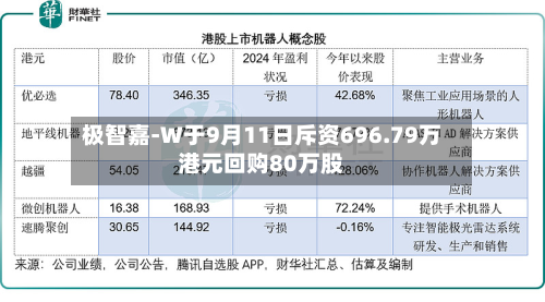 极智嘉-W于9月11日斥资696.79万港元回购80万股-第1张图片