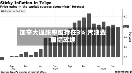 加拿大通胀率维持在3% 汽油费用
涨幅放缓-第3张图片