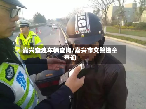 嘉兴查违车辆查询/嘉兴市交警违章查询