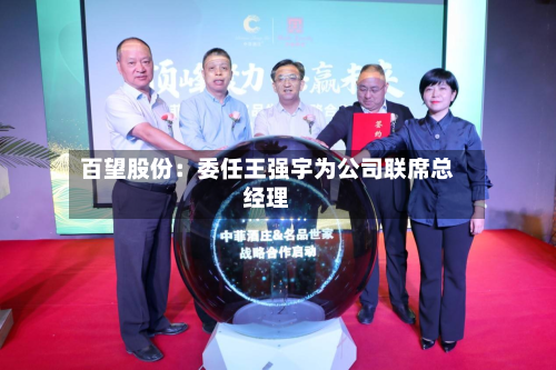 百望股份:委任王强宇为公司联席总经理