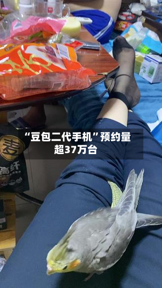 “豆包二代手机”预约量超37万台