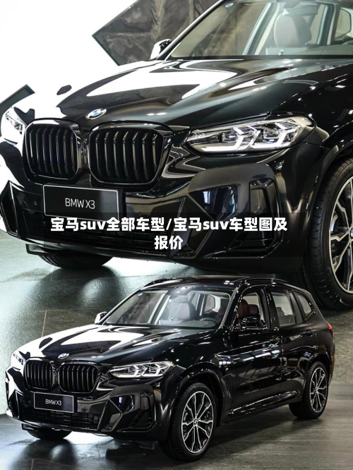 宝马suv全部车型/宝马suv车型图及报价-第2张图片