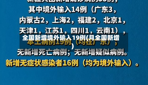 全国新增境外输入19例(月全国新增)-第3张图片