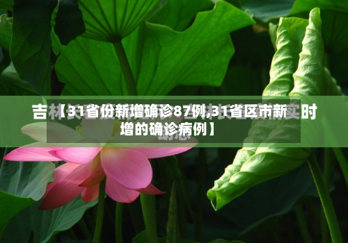 【31省份新增确诊87例,31省区市新增的确诊病例】