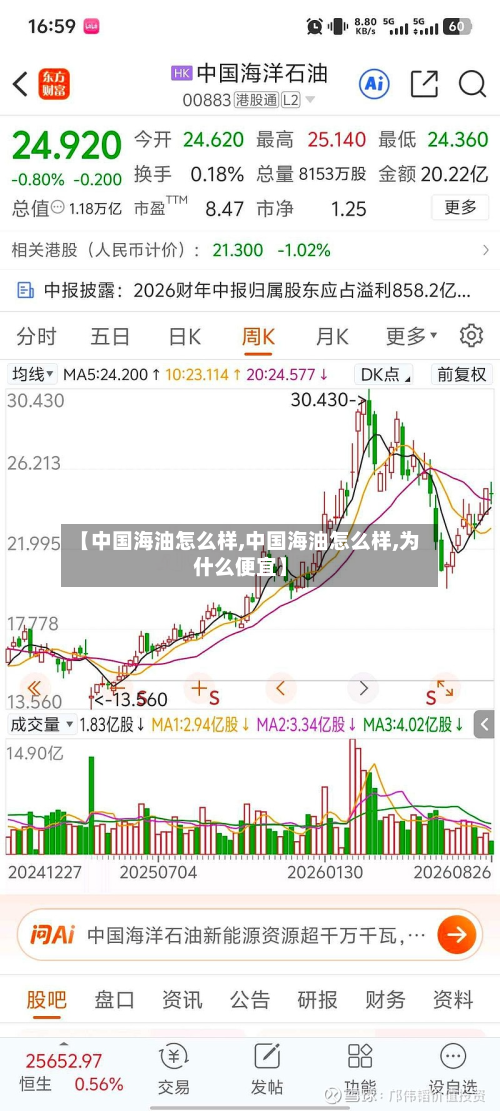 【中国海油怎么样,中国海油怎么样,为什么便宜】