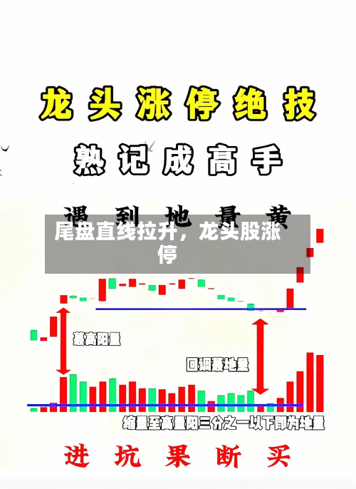 尾盘直线拉升	，龙头股涨停-第2张图片
