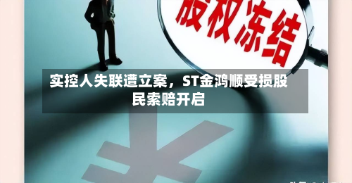 实控人失联遭立案	，ST金鸿顺受损股民索赔开启-第2张图片
