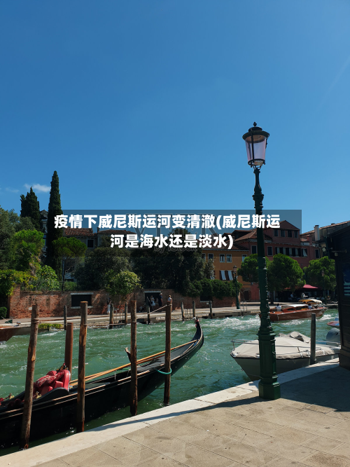 疫情下威尼斯运河变清澈(威尼斯运河是海水还是淡水)-第3张图片