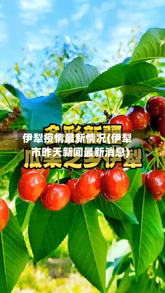 伊犁疫情最新情况(伊犁市昨天新闻最新消息)-第3张图片