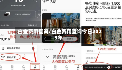 白金费用查询/白金费用查询今日2023年