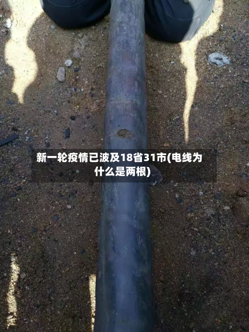 新一轮疫情已波及18省31市(电线为什么是两根)-第2张图片
