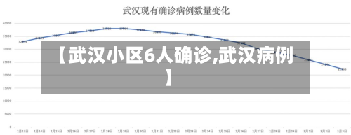 【武汉小区6人确诊,武汉病例】