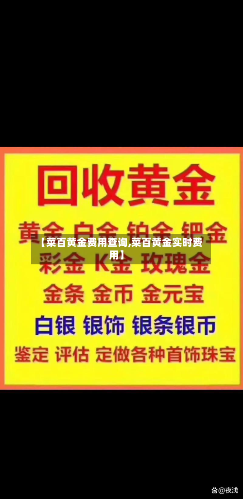 【菜百黄金费用查询,菜百黄金实时费用】-第2张图片