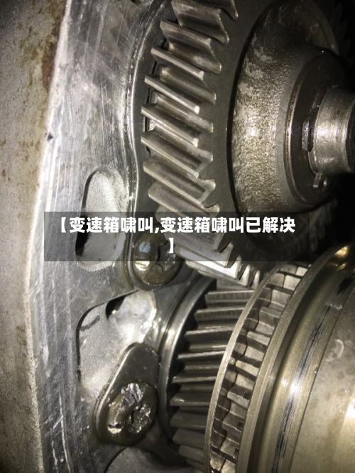 【变速箱啸叫,变速箱啸叫已解决】