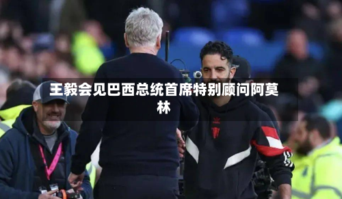 王毅会见巴西总统首席特别顾问阿莫林-第2张图片