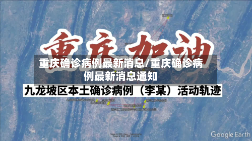 重庆确诊病例最新消息/重庆确诊病例最新消息通知-第3张图片