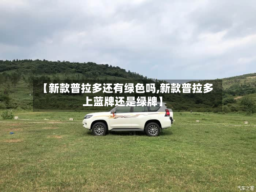 【新款普拉多还有绿色吗,新款普拉多上蓝牌还是绿牌】-第2张图片