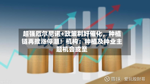 超强厄尔尼诺+政策利好催化，种植链再掀涨停潮！机构：种植及种业主题机会或至-第3张图片