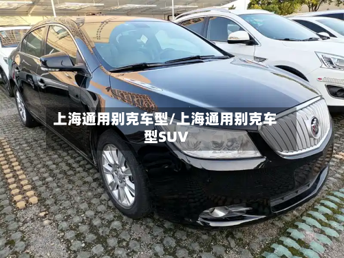 上海通用别克车型/上海通用别克车型SU∨-第2张图片