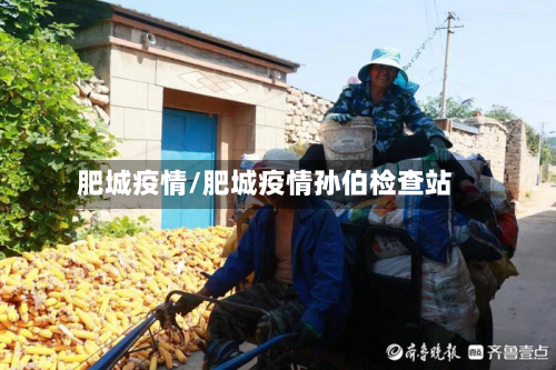肥城疫情/肥城疫情孙伯检查站