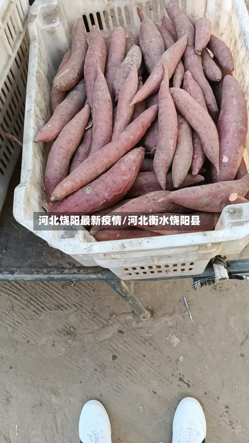 河北饶阳最新疫情/河北衡水饶阳县-第2张图片