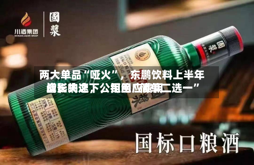两大单品“哑火”，东鹏饮料上半年增长失速，公司回应费用战影响之下	，拒绝“简单二选一”-第3张图片