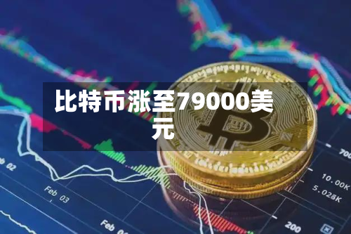 比特币涨至79000美元-第2张图片