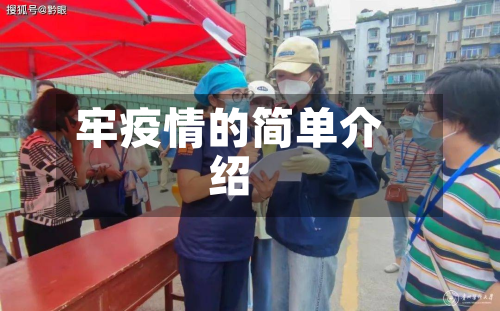 牢疫情的简单介绍-第2张图片