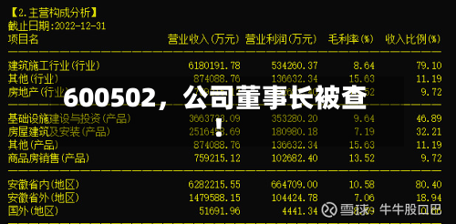 600502，公司董事长被查！