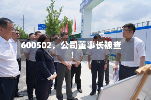 600502，公司董事长被查！-第2张图片