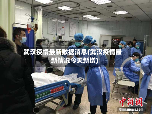 武汉疫情最新数据消息(武汉疫情最新情况今天新增)-第2张图片