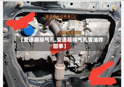 【变速箱排气孔,变速箱排气孔冒油咋回事】-第3张图片